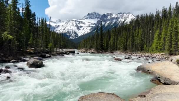 Yaz Manzarası Mistaya Kanyonu Banff Ulusal Parkı Kanada — Stok video