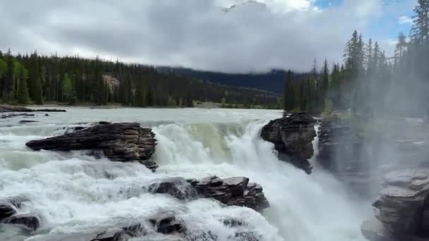 Athabasca Şelaleleri Nde Yaz Jasper Ulusal Parkı Kanada — Stok video