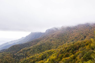 Puigsacalm tepesinde sonbahar gündoğumu, La Garrotxa, Girona, Kuzey İspanya.