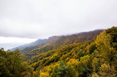 Puigsacalm tepesinde sonbahar gündoğumu, La Garrotxa, Girona, Kuzey İspanya.