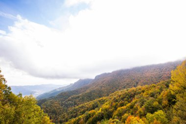 Puigsacalm tepesinde sonbahar gündoğumu, La Garrotxa, Girona, Kuzey İspanya.