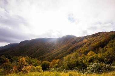 Puigsacalm tepesinde sonbahar gündoğumu, La Garrotxa, Girona, Kuzey İspanya.