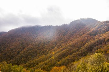 Puigsacalm tepesinde sonbahar gündoğumu, La Garrotxa, Girona, Kuzey İspanya.