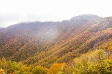 Puigsacalm tepesinde sonbahar gündoğumu, La Garrotxa, Girona, Kuzey İspanya.