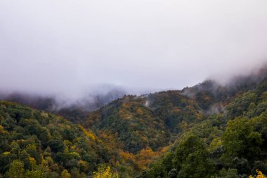 Puigsacalm tepesinde sonbahar gündoğumu, La Garrotxa, Girona, Kuzey İspanya.
