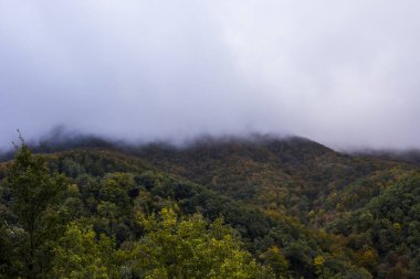 Puigsacalm tepesinde sonbahar gündoğumu, La Garrotxa, Girona, Kuzey İspanya.