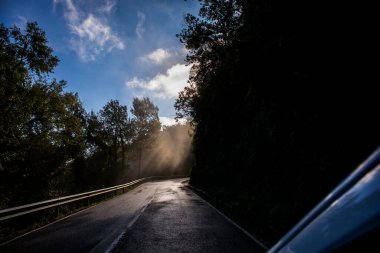 Kuzey İspanya, La Garrotxa 'da sonbahar kırsal yolu.