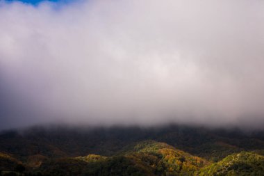 La Vall D En Bas, La Garrotxa, Kuzey İspanya 'da sonbahar gündoğumu.