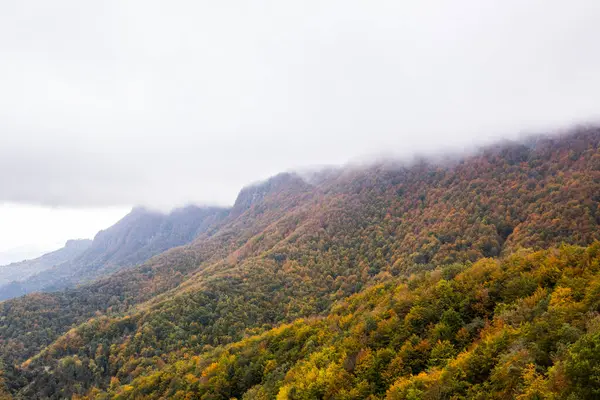 Puigsacalm tepesinde sonbahar gündoğumu, La Garrotxa, Girona, Kuzey İspanya.