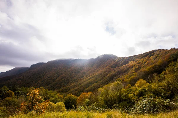 Puigsacalm tepesinde sonbahar gündoğumu, La Garrotxa, Girona, Kuzey İspanya.