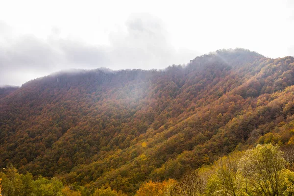 Puigsacalm tepesinde sonbahar gündoğumu, La Garrotxa, Girona, Kuzey İspanya.