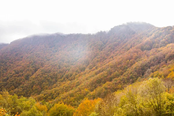 Puigsacalm tepesinde sonbahar gündoğumu, La Garrotxa, Girona, Kuzey İspanya.