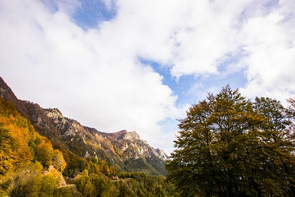 Puigsacalm Tepesinde Sonbahar Gündoğumu Garrotxa Girona Kuzey Spanya — Stok fotoğraf