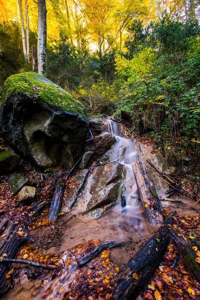 Outono Floresta Grevolosa Osona Barcelona Norte Espanha — Fotografia de Stock