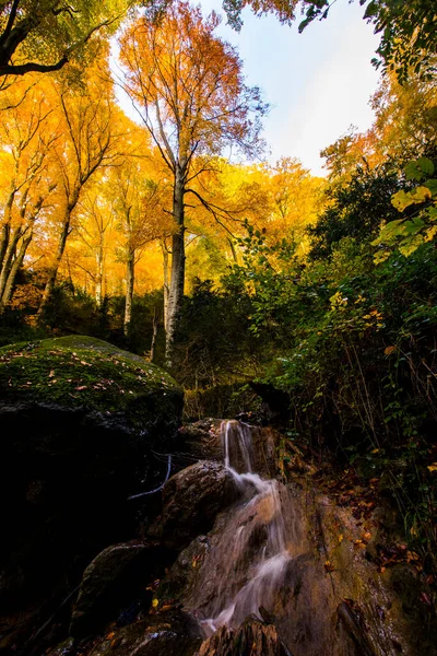 Sonbahar La Grevolosa Ormanı, Osona, Barselona, Kuzey İspanya.