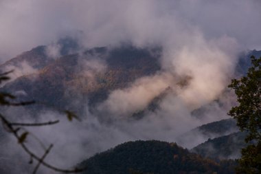 Puigsacalm tepesinde sonbahar gündoğumu, La Garrotxa, Kuzey İspanya.