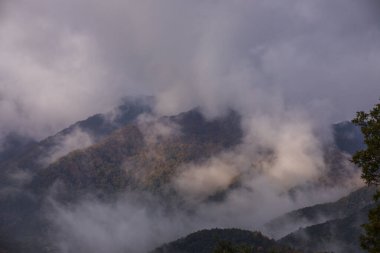 Puigsacalm tepesinde sonbahar gündoğumu, La Garrotxa, Kuzey İspanya.