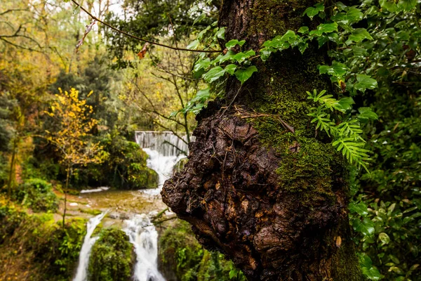 Rivière Automne Can Batlle Garrotxa Nord Espagne — Photo