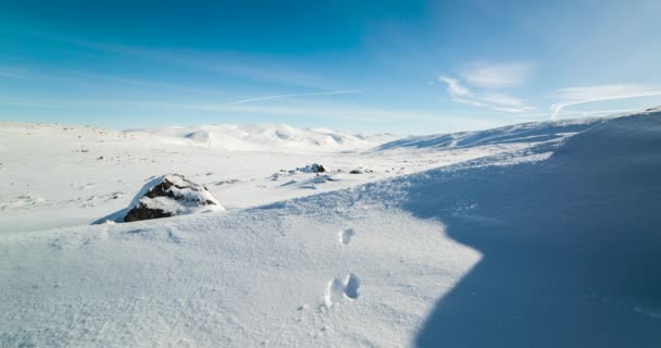 Tijdsverloop Winterlandschap Nationaal Park Dovrefjell Noorwegen — Stockvideo