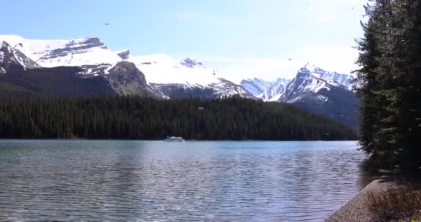 Summer Landscape People Kayaking Fishing Maligne Lake Jasper National Park — Stock Video