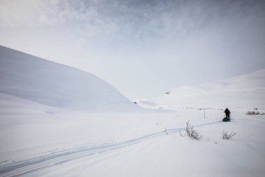 Ski expedition in Dovrefjell National Park, south Norway.