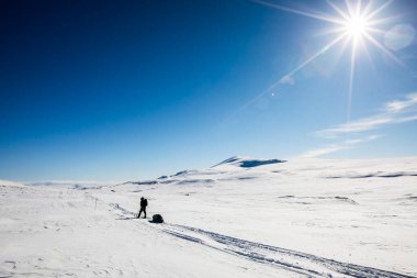 Norveç 'in güneyindeki Dovrefjell Ulusal Parkı' nda kayak gezisi..