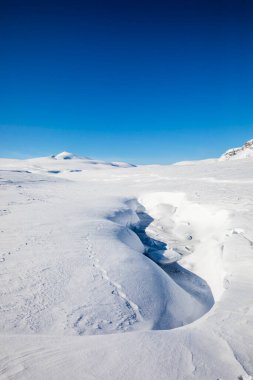 Norveç 'in güneyindeki Dovrefjell Ulusal Parkı' nda kış manzarası.