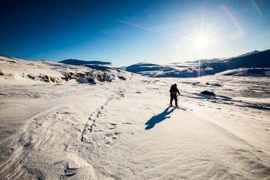 Ski expedition in Dovrefjell National Park, south Norway.