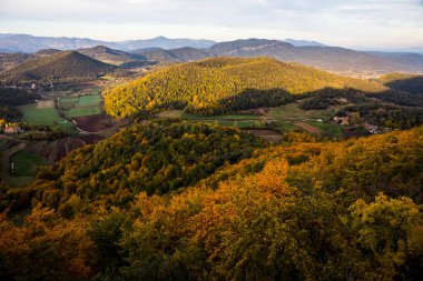La Fageda D En Jorda Ormanı 'nda sonbahar, La Garrotxa, Kuzey İspanya.
