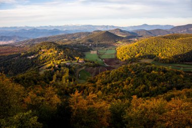 La Fageda D En Jorda Ormanı 'nda sonbahar, La Garrotxa, Kuzey İspanya.