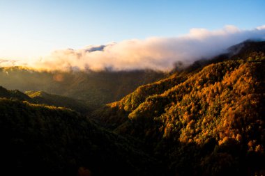 Puigsacalm tepesinde sonbahar gündoğumu, La Garrotxa, Kuzey İspanya.