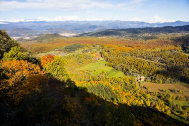 La Fageda D En Jorda Ormanı 'nda sonbahar, La Garrotxa, Kuzey İspanya.