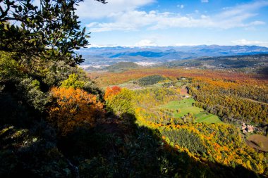 La Fageda D En Jorda Ormanı 'nda sonbahar, La Garrotxa, Kuzey İspanya.