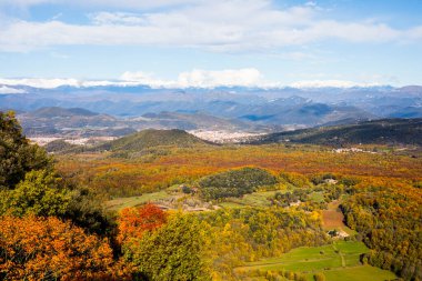 La Fageda D En Jorda Ormanı 'nda sonbahar, La Garrotxa, Kuzey İspanya.