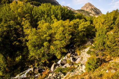 Mountain landscape in Campcardos valley, La Cerdanya, Pyrenees, France.