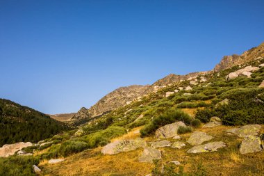 Mountain landscape in Campcardos valley, La Cerdanya, Pyrenees, France.