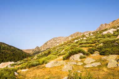 Mountain landscape in Campcardos valley, La Cerdanya, Pyrenees, France.