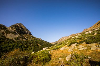 Mountain landscape in Campcardos valley, La Cerdanya, Pyrenees, France.