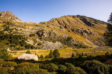 Mountain landscape in Campcardos valley, La Cerdanya, Pyrenees, France.