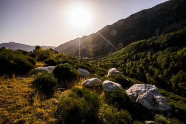 Mountain landscape in Campcardos valley, La Cerdanya, Pyrenees, France.