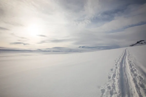 Ski Expedition Dovrefjell National Park South Norway — Stockfoto