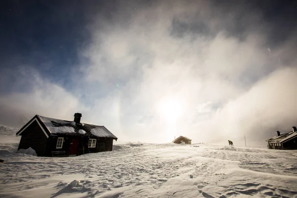 Extreme Winter Wind Reinheim Cabin Dovrefjell National Park South Norway — Photo