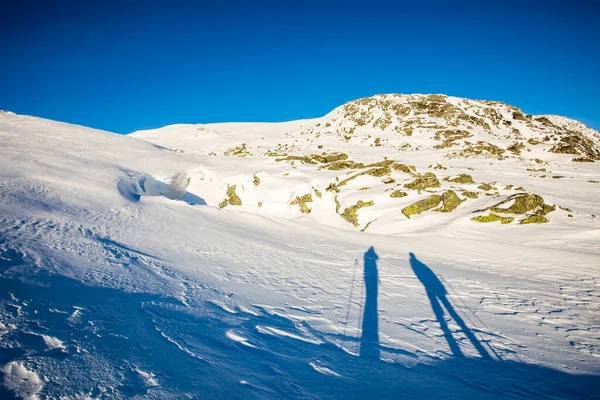 Ski Expedition Dovrefjell National Park South Norway — Stockfoto