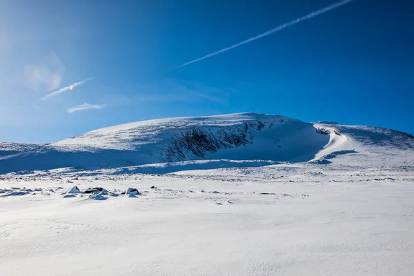 Winter Landscape Dovrefjell National Park South Norway — 图库照片