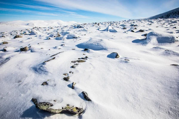 Winterlandschap Nationaal Park Dovrefjell Zuid Noorwegen — Stockfoto