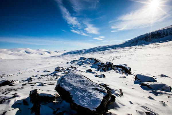 Winter Landscape Dovrefjell National Park South Norway — Foto Stock