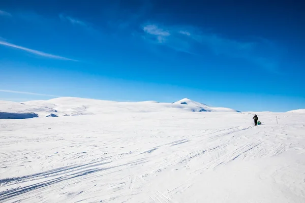 Spedizione Sci Nel Parco Nazionale Dovrefjell Norvegia Meridionale — Foto Stock