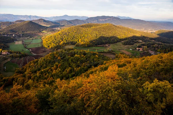 La Fageda D En Jorda Ormanı 'nda sonbahar, La Garrotxa, Kuzey İspanya.