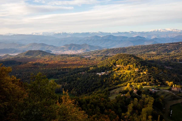 Autunno Fageda Jorda Forest Garrotxa Spagna Settentrionale — Foto Stock