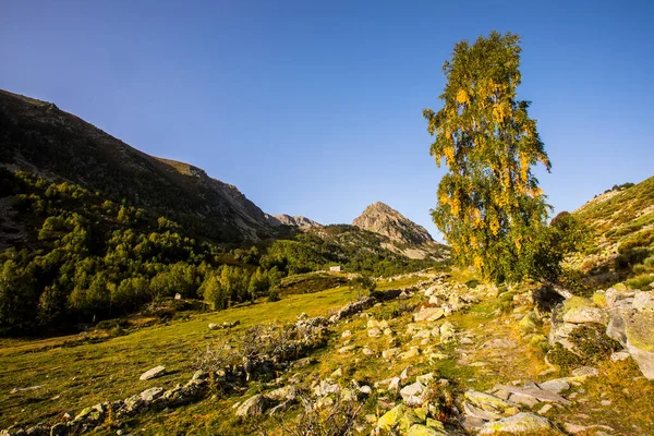 Mountain Landscape Campcardos Valley Cerdanya Pyrenees France —  Fotos de Stock